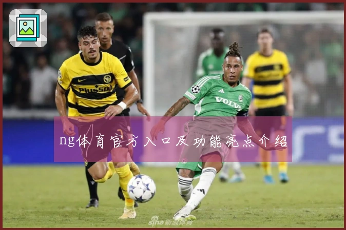 ng体育官方入口及功能亮点介绍