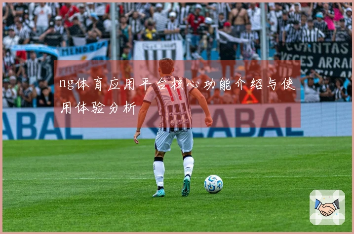 ng体育应用平台核心功能介绍与使用体验分析