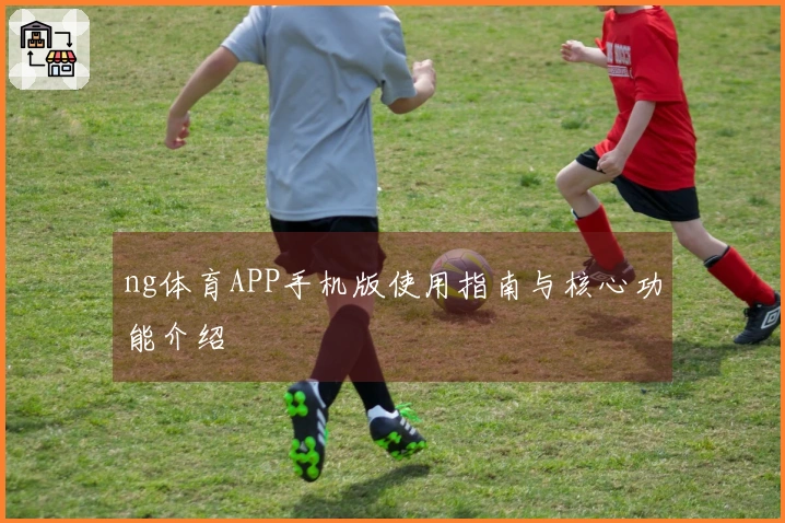 ng体育APP手机版使用指南与核心功能介绍