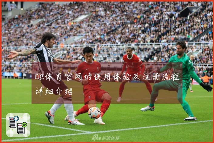 ng体育官网的使用体验及注册流程详细介绍