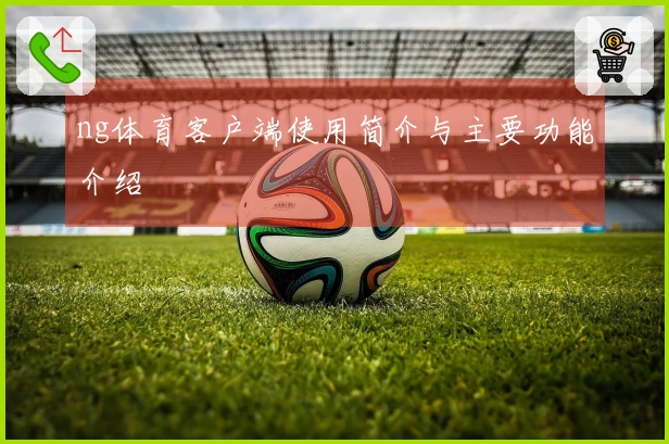 ng体育客户端使用简介与主要功能介绍