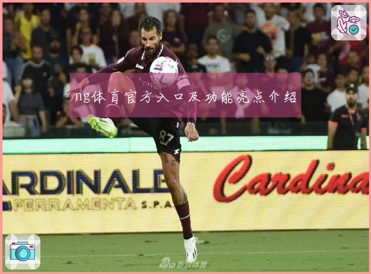 ng体育官方入口及功能亮点介绍